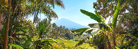 Bali/Indonesion