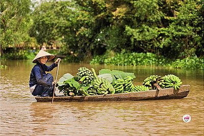 Mekong Delta Mekong Delta